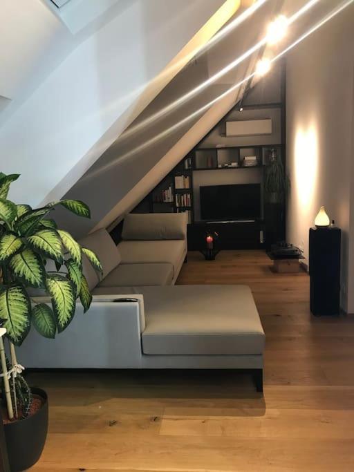 Grosszuegiges Dachterrassen-Appartment Mit Klimaanlage Und Wunderbarem Ausblick Viena Exterior foto